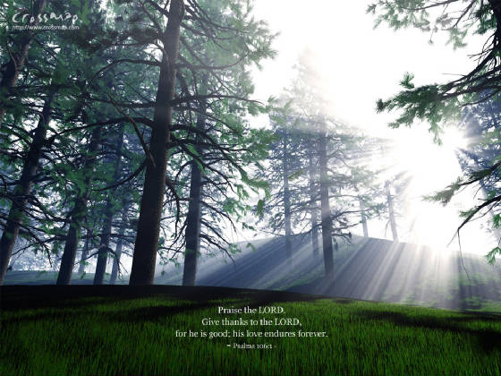 light.jpg